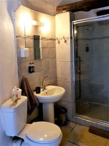 Rorkeʼs DriftElandsview Guesthouse的浴室配有卫生间、盥洗盆和淋浴。