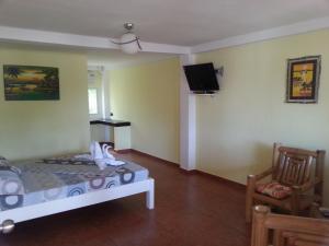 Ferrol比努克特海滩度假酒店的一间客房配有一张床、一台电视和两把椅子