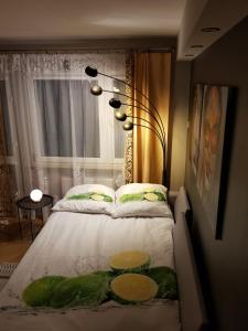 比托姆Apartament Euro 1 Bytom的一间卧室配有一张带黄瓜的床