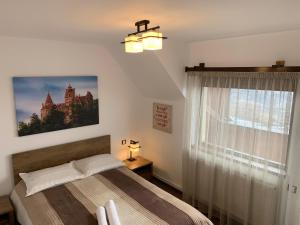 Boldeşti-ScăeniCasuta de pe dealul Seciu的一间卧室设有一张床和一个窗口