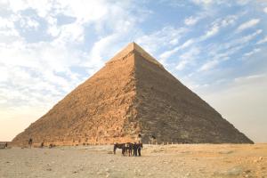 Kafr Abū ʼumaydahGrand Museum Guest House的一群马站在金字塔前