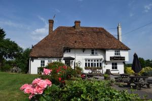 StalisfieldThe Plough Inn的相册照片