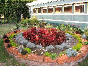 蒂瓦索萨Los Vagones de William的一座花园,在一座建筑前种有鲜花和植物
