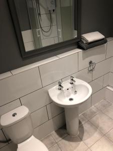 邓斯特布尔The Pheasant Inn的一间带水槽、卫生间和镜子的浴室