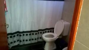 蒂尔卡拉La Posada de Bartola的一间带卫生间和淋浴帘的浴室
