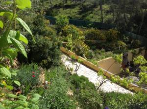 奥利维拉Romani,26的种植了多种不同植物的花园