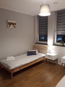 姆瓦瓦Arkadia Hostel的一间卧室设有一张床和两个窗户。