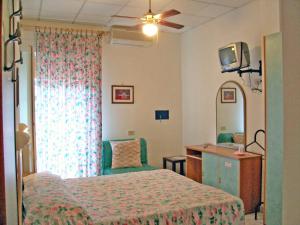 里杜德里伊斯坦西维奇亚里米尼酒店的一间卧室配有一张床、一张书桌和一台电视。