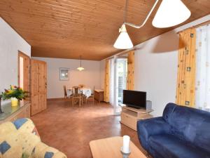 克吕茨Farm holiday home in Damshagen with garden seating and sauna的客厅配有蓝色的沙发和电视