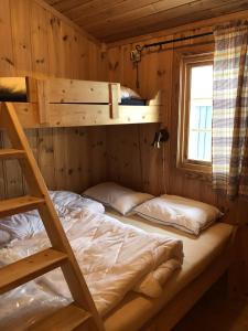 HaglebuHaglebu Turistheim的一间卧室配有一张双层床和梯子