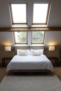 安特卫普Antwerp B&B的一间卧室设有一张大床和两个窗户