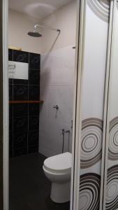瓜拉大汉Naura Roomstay的一间带卫生间和淋浴的小浴室