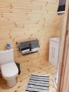 凯尔斯Log cabin的一间带卫生间和木墙的浴室