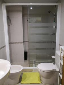 奥维多Apartamentos Chevere Violeta的带淋浴、卫生间和盥洗盆的浴室