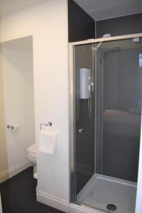 福尔柯克Kelpies Serviced Apartments的浴室设有玻璃淋浴间和卫生间
