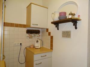 阿尔卑巴赫Anna's Appartement的一个带柜台和水槽的小厨房