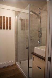 梅戈格Le Cocon Orford Domaine Cheribourg的一间带玻璃淋浴和水槽的浴室