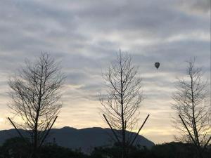 关山镇蓝天山丘民宿的空中的热气球在树上飞翔