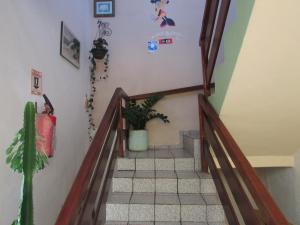 纳塔尔Pousada Zenite的墙上挂着植物的楼梯
