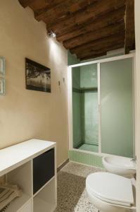 卢卡Il nido nascosto的一间带卫生间和玻璃淋浴间的浴室