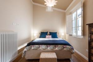 卢卡Affordable suite with a view in the Heart of Lucca的一间卧室配有一张带蓝色枕头的床和一扇窗户。