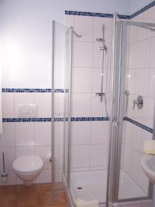 Großostheim兰德加斯托福霍克旅馆的带淋浴和卫生间的浴室