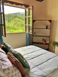 迦太基Cabaña Vista Verde的一张位于带大窗户的房间内的床铺