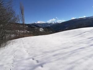 SantʼAnna PelagoB&b La Violetta的雪地里带足迹的雪地斜坡