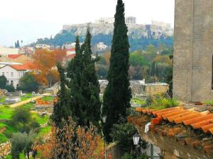 雅典Living modern in the centre of history的一群树坐在大楼的顶部