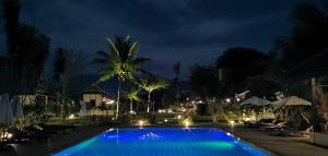 琅勃拉邦Luang Prabang chanon hotel的夜间游泳池