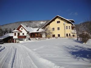 滨湖伦茨Ferienwohnung Schlögelhofer的雪地里的房子,有雪盖的车道