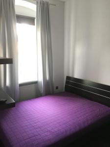 比得哥什Apartament Opera的一间铺有紫色地毯的客房,设有窗户。