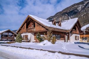 朗根费尔德Alpin Apart Maurer的雪中的一个木屋,山中