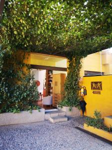 莫雷利亚Hotel Casa en el Campo的常春藤覆盖的墙