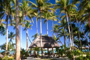 Tavewa椰子海滩度假村的棕榈树海滩上的草屋