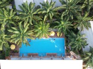 卡农佩斯度假村的享有棕榈树游泳池的顶部景致
