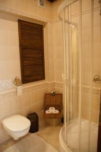 桑多梅日Apartament Parkowy的一间带卫生间和玻璃淋浴间的浴室