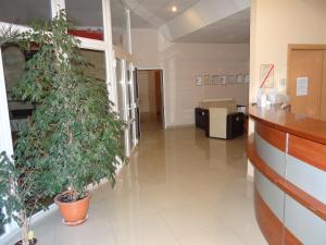 斯拉百斯瑞拉克斯酒店的医院里带盆栽的走廊