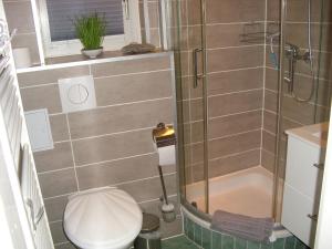 WienrodeFam Stana的一间带卫生间和淋浴的小浴室
