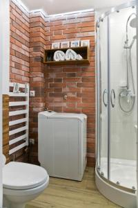 克拉科夫Cichy apartament w centrum Krakowa Salwator的砖砌浴室设有卫生间和淋浴。
