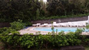 Capelo火山乡村民宿旅馆的一个带躺椅的游泳池和一个游泳池