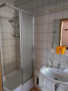 施莱普齐希Spreewaldgasthaus Petkampsberg的带淋浴和盥洗盆的浴室