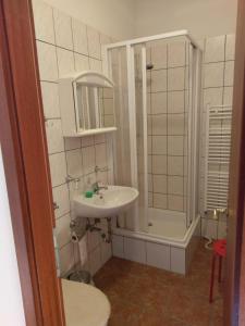 施莱普齐希Spreewaldgasthaus Petkampsberg的一间带水槽和淋浴的浴室