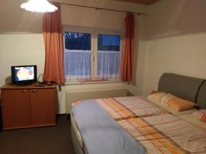 施莱普齐希Spreewaldgasthaus Petkampsberg的一间卧室配有一张床、一台电视和一个窗口