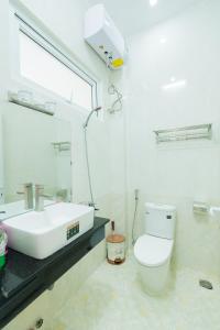 大叻Mỹ Kim Villa的一间带水槽、卫生间和镜子的浴室