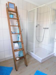 EbershausenFerienhaus am Haselbach的带淋浴的浴室的梯子