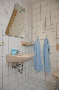 沃尔肯施泰因Ferienwohnung Neubert的一间带水槽、镜子和卫生间的浴室