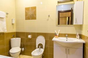 第比利斯Tbilisi Comfort Apartment的一间带卫生间和水槽的浴室