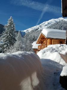 阿雷什Le Refuge des Marmottes的小屋旁的一堆雪