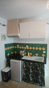艾居厄河畔卡马勒studio cosy en PROVENCE的一间带水槽和冰箱的小厨房